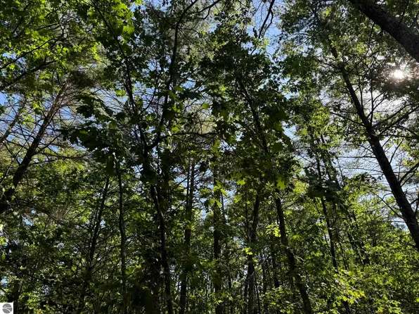 2216 Redman Dr NW, Alden, MI 49612