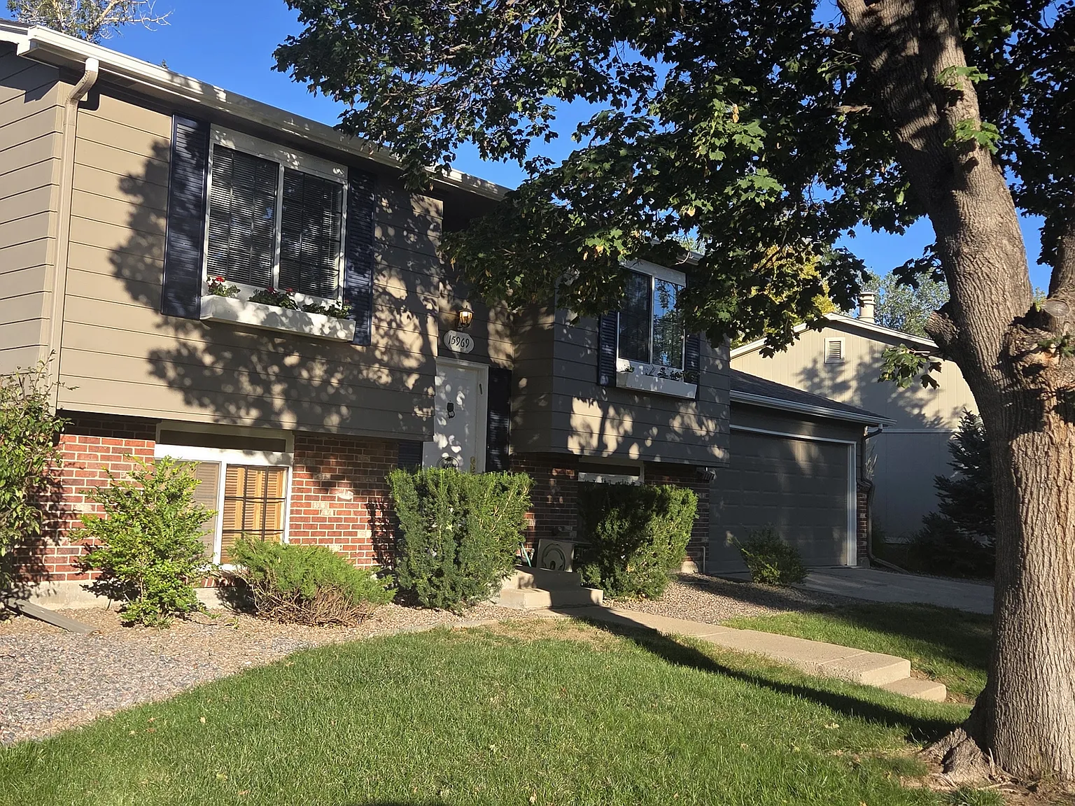 3 bed, 1638 sqft, $2,600 — Photo 3