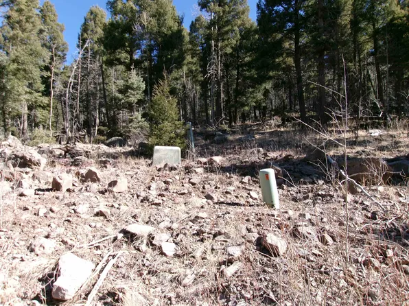 1119 El Camino Real Lot 1119, Angel Fire, NM 87710