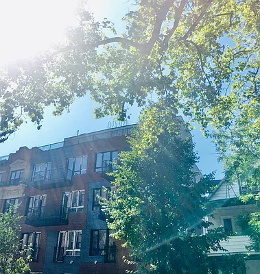 Rented by EXP Realty NYC | media 32