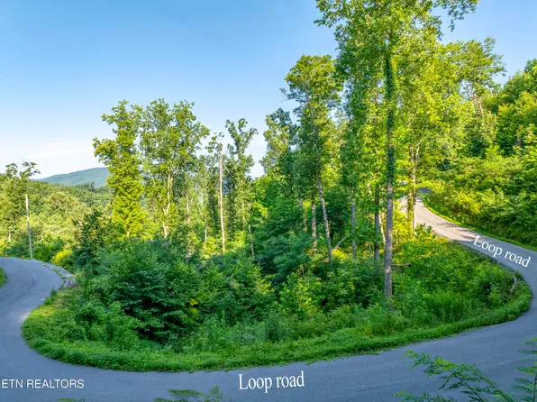 Loop Rd, Gatlinburg, TN 37738