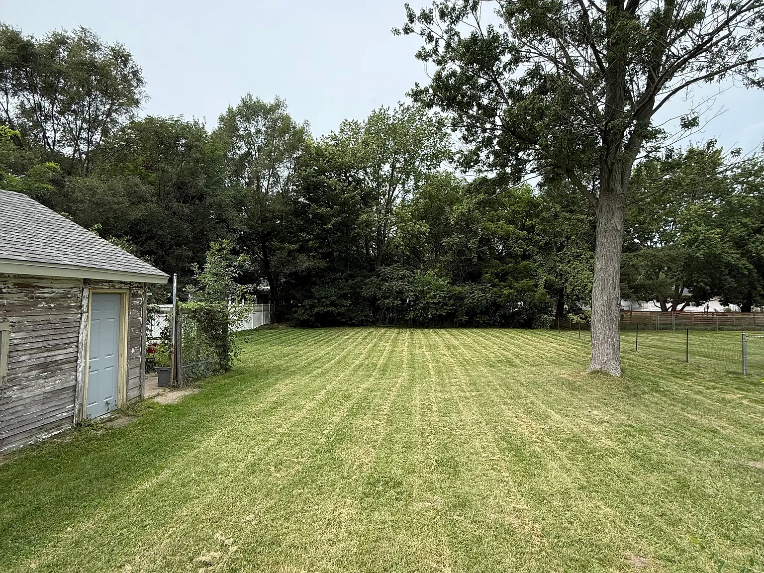3 bed, 1013 sqft, $1,800 — Photo 4