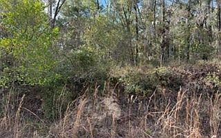 2nd image of 0 SW 22nd Pl