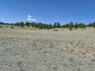 1999 Arapaho Trl, Hartsel, CO 80449