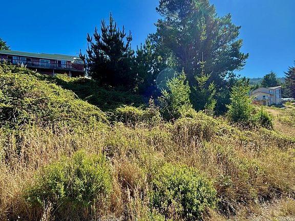 4th image of 45 Vista Rd