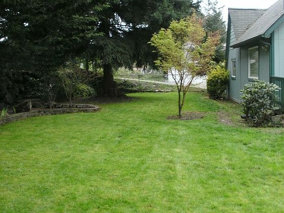 back yard