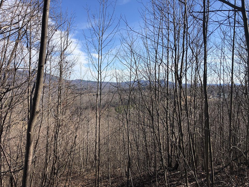 0 Dallas Lyon Ln 0, Stuart, VA 24171 MLS 895948 Zillow