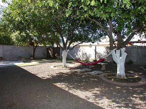 Backyard