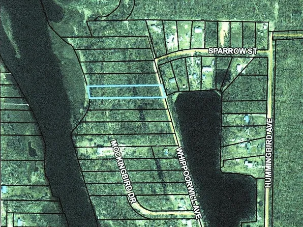 501 Whippoorwill Ave, Wewahitchka, FL 32465