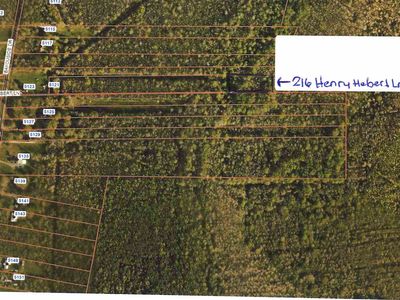 216 Henry Hebert Ln, Chauvin, LA, 70344