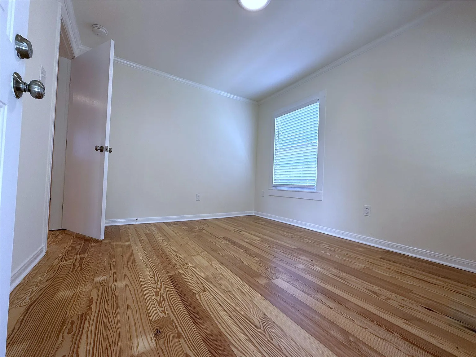 1 bed, 1.0 bath, 630 sqft, $1,300 — Photo 2