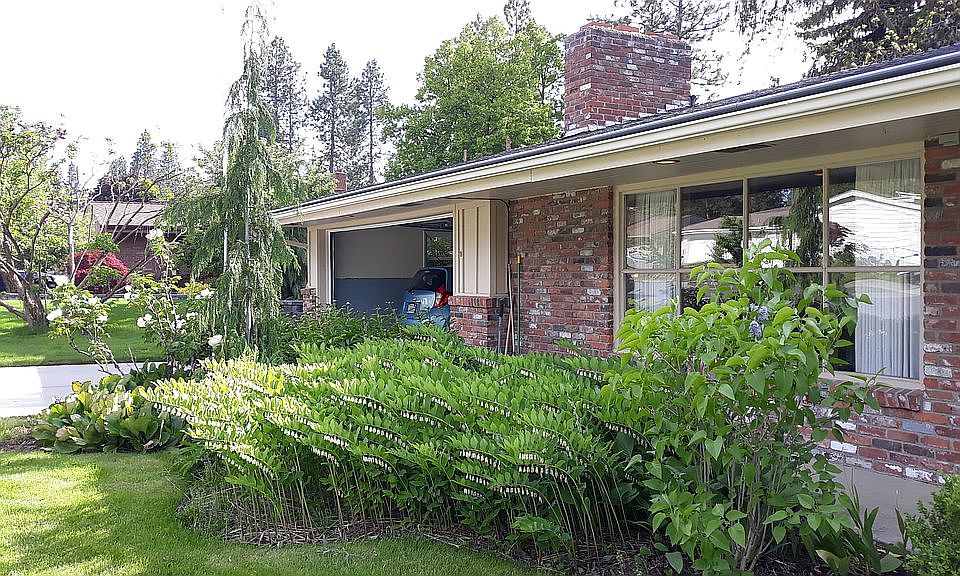 Gorgeous perennial gardens