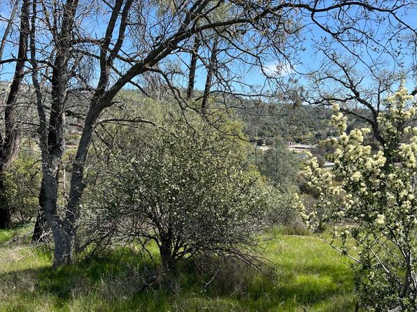 1 Jim Bowie Ct, Coarsegold, CA 93614
