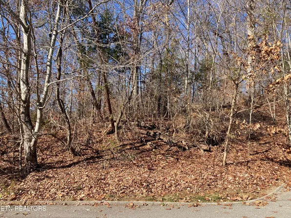 6402 Spring View Ln, Knoxville, TN 37918