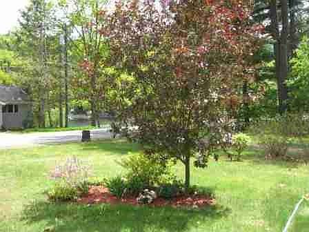 4th image of 60 Riverview Dr