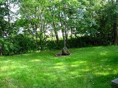 3 Elm St shared yard