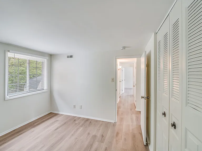 5001 Forest Mountain Ct — Photo 5