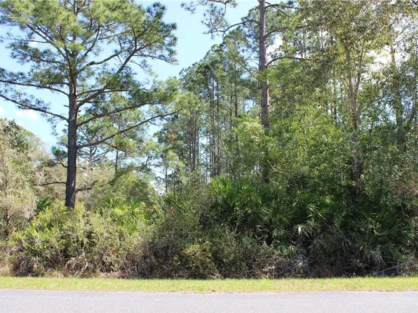 Cashew St, Eustis, FL 32736