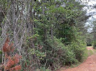 Highway 49 Lot 1, Brooklyn, MS 39425