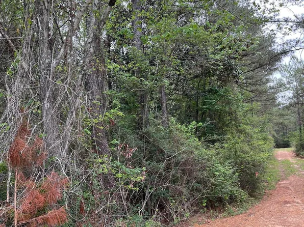No Hwy Lot 1, Brooklyn, MS 39425