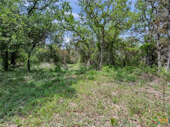 LOT 14 Fm 243 Xrds, Bertram, TX 78605