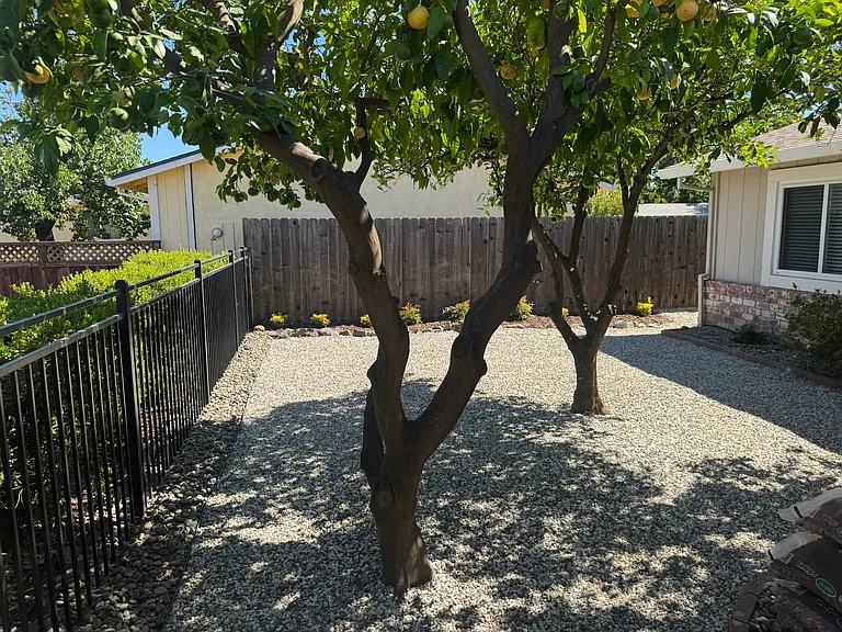 310 Florene Ct — Photo 2