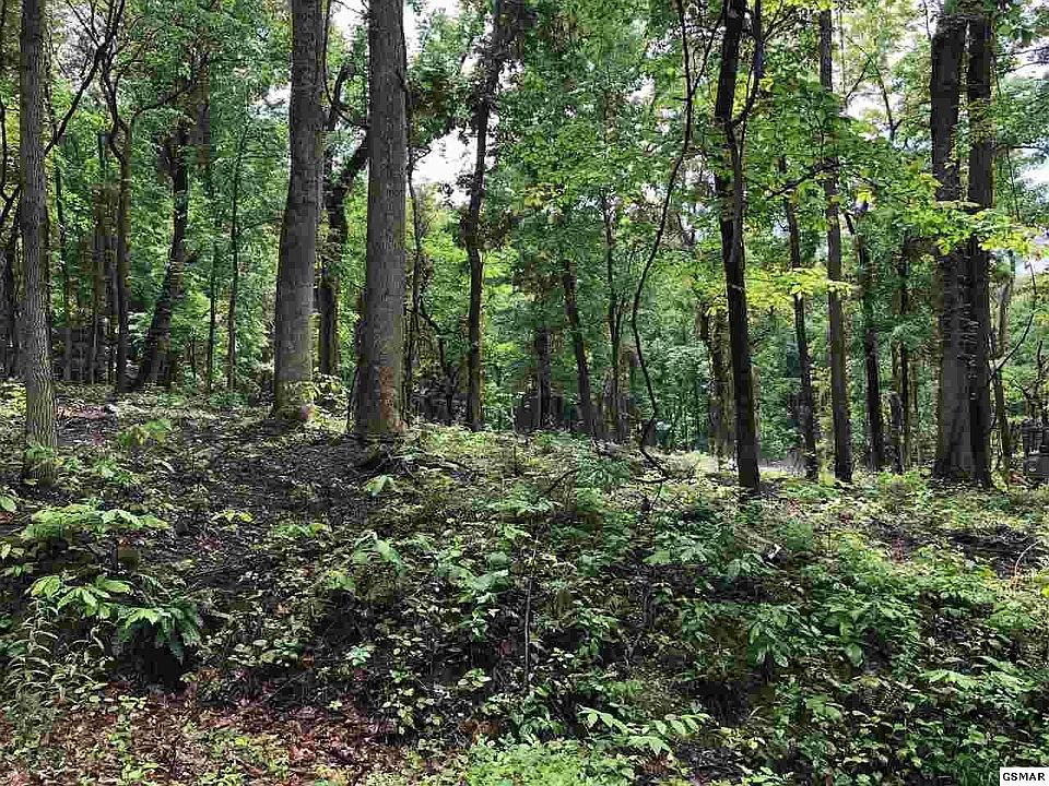 1st image of 0 Blowing Cave Rd Lot 30