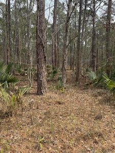0 Prices Bridge Ln, Walterboro, SC, 29488
