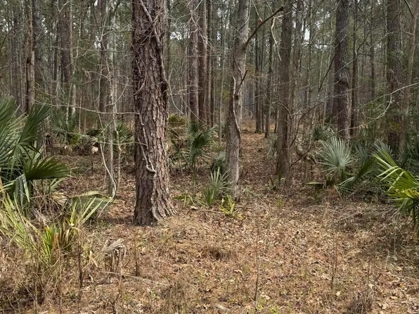 0 Prices Bridge Ln, Walterboro, SC 29488