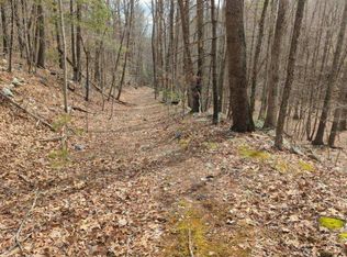 Design Ln, Riner, VA 24149