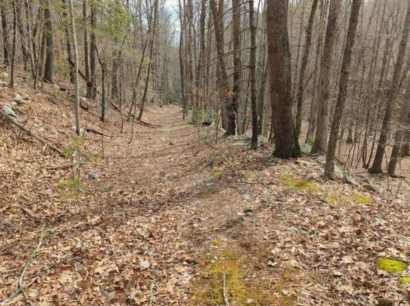 Design Ln, Riner, VA 24149