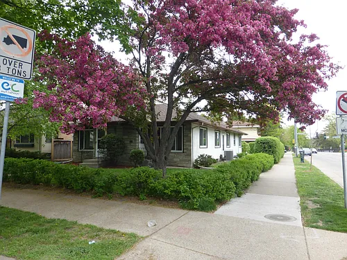 3555 Holmes Ave S Photo 1