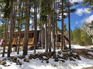 380 Ski Rd, Evergreen, CO 80439