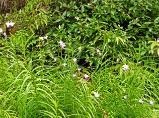 Kupono St LOT 10, Pahoa, HI 96778