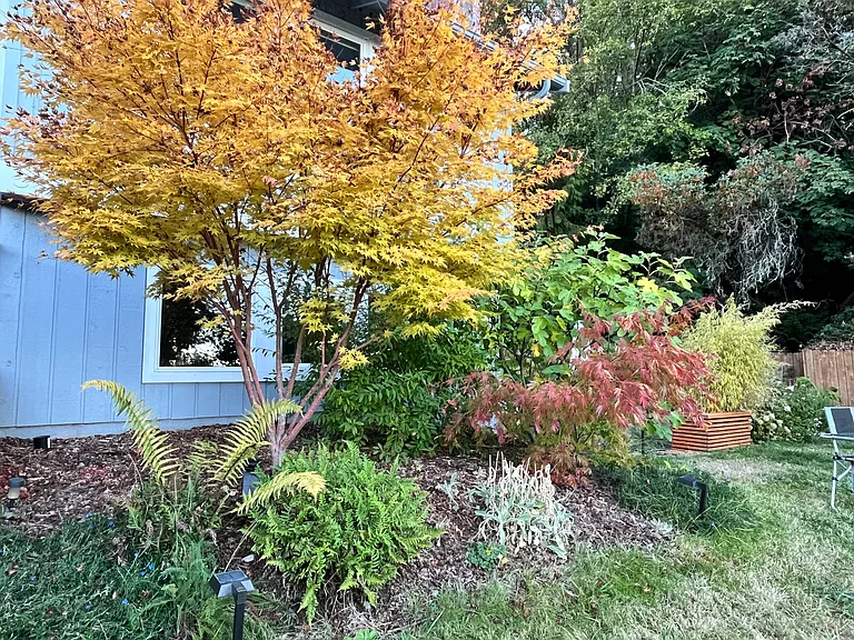 School St NE — Photo 8