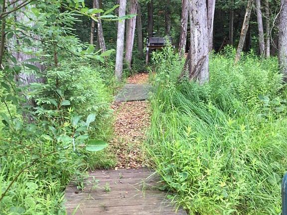 4th image of 8658 Manistee River Road 3.17 Acres