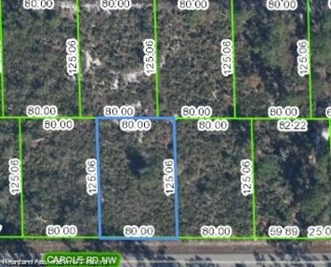 379 Carole Rd NW, Lake Placid, FL, 33852