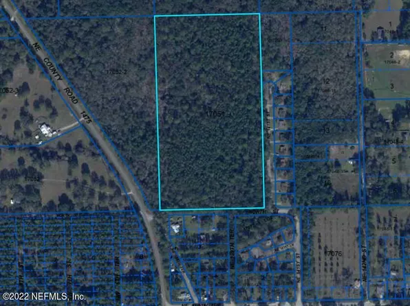 000 NE 141ST Street, Waldo, FL 32694