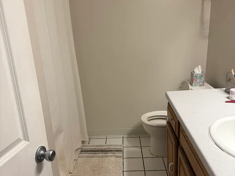 Downstairs bathroom with shower.