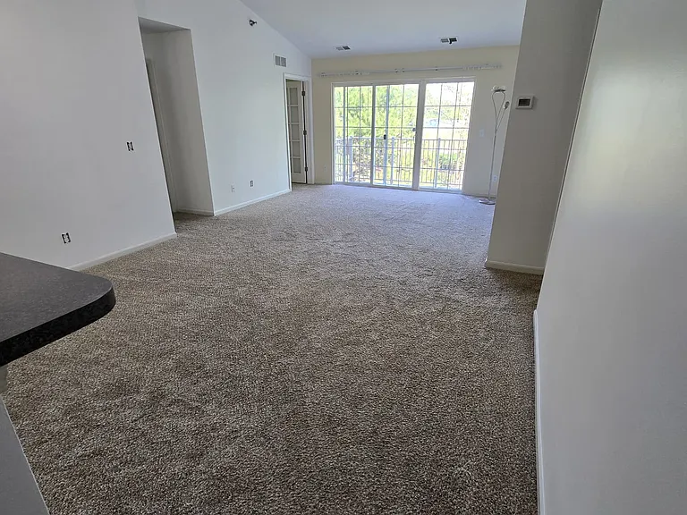 3215 Goldeneye Ln — Photo 7
