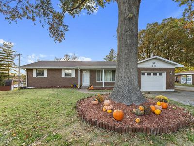 1223 N Glenwood Dr, Columbia, IL, 62236