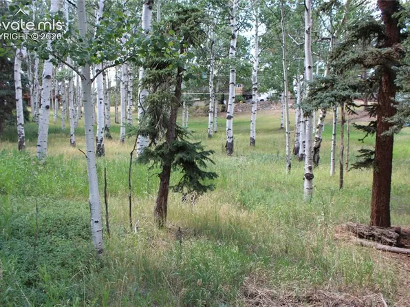 175 Club Dr, Woodland Park, CO 80863