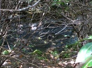 LOT 138 Big Piney Loop, Wilder, TN 38589