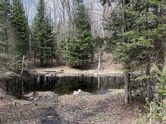 4th image of 1170 Peter Rd