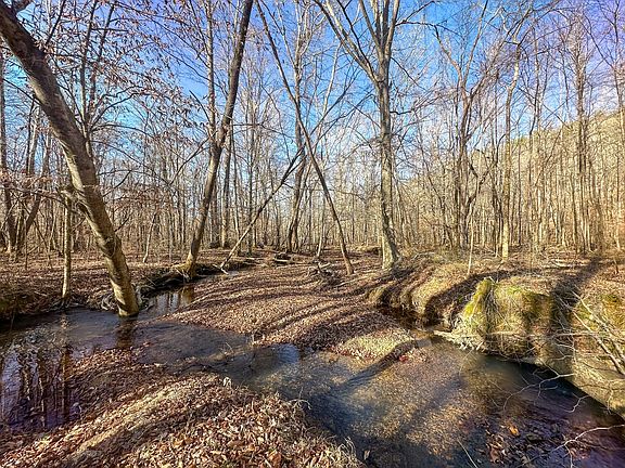 Compass South Land Sales Tennessee 09