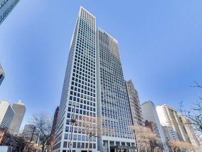 1110 N Lake Shore Dr APT 29S, Chicago, IL, 60611