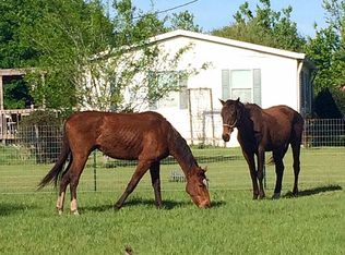 8525 Double Rock Ct, Polk City, FL 33868