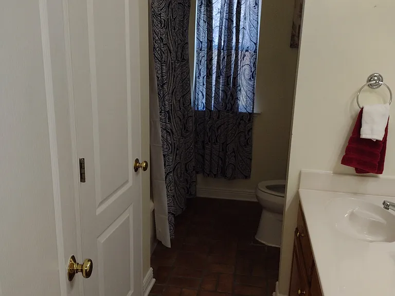 Guest Bath 1