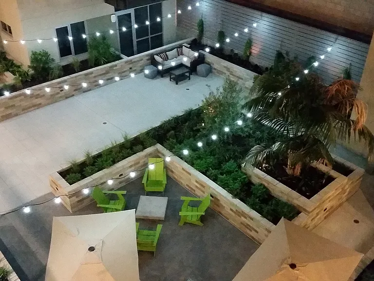 Olea — Photo 11