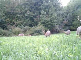 Greenberry Rd, Fancy gap, VA 24328